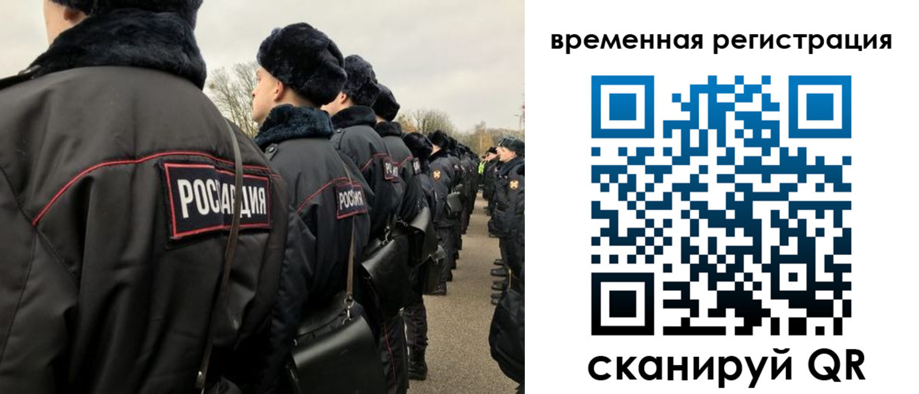 прописка гарантия в Долгопрудном
